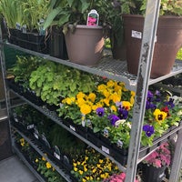 Photo taken at Adams Morgan Ace Hardware by Laura W. on 9/16/2020