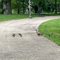 Photo taken at Constitution Gardens by Laura W. on 5/15/2023