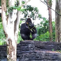 Photo taken at Disney&amp;#39;s Animal Kingdom by Matthew W. on 8/8/2015