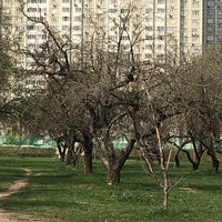 Photo taken at Яблоневый сад by Любовь Н. on 4/27/2019