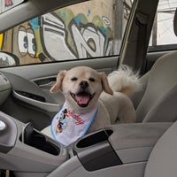 Photo taken at Doggie Love Grooming by Tiffany T. on 6/16/2019