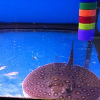 Photo taken at Golden Aquarium by Jeremy M. on 11/11/2012