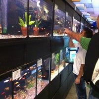 Photo taken at Golden Aquarium by Jeremy M. on 10/18/2012