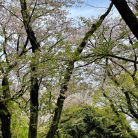 Photo taken at Meiji Jingu Gaien by Vic F. on 4/13/2024