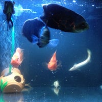 Review De latinos cluster brazil