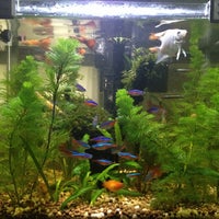 Review De latinos cluster brazil