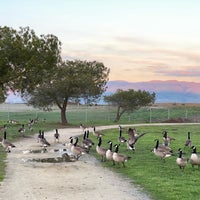 Photo taken at Baylands Park by Soubhi A. on 12/31/2021