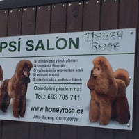Photo taken at Psí salon Honey Rose by R K. on 7/28/2015