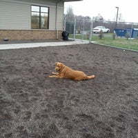 Animal allies hotsell humane society