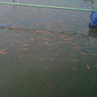 Review Waduk Gunungsari Indah - Wiyung