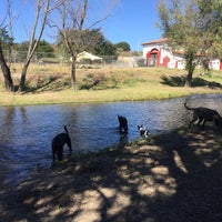 Patitas Club Canino - Dog Run in Tala