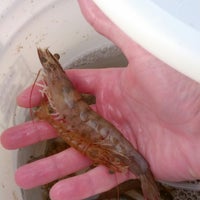 Donalds bait and tackle Clearance