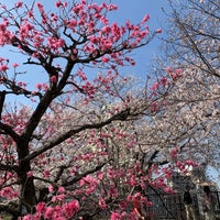 Photo taken at Osaka Castle Taoyuan by 南丞 総. on 4/1/2023