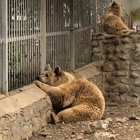 Photo taken at Tehran Zoo by __khatereh on 3/24/2019