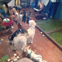 Photo taken at Lucky Puppy Rescue and Retail by Sandy J. on 12/9/2012