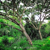 Bukit Malawati Kuala Selangor Kuala Selangor Selangor