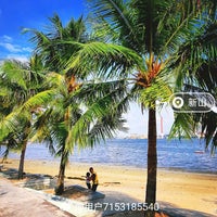 Stulang laut pantai Pantai Johor
