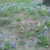 北京外国语大学一号楼 多语言服务中心 College Academic Building In Beijing