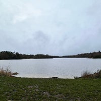 Photo taken at Virginia Water by Liangchen on 12/25/2023