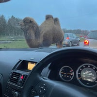 Photo taken at Knowsley Safari by OS on 1/22/2022