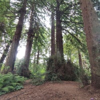 Photo taken at San Francisco Botanical Garden by PS on 8/20/2023
