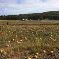 Photo prise au Dykemans Pumpkin Patch par Henry D. le9/29/2016