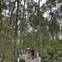 Photo taken at Tanjung Piai National Park by Ferio M. on 11/19/2023