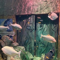 Photo taken at The Lost Chambers Aquarium by Alphan C. on 4/6/2024
