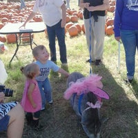 Photo taken at Pumpkin Town by Tracy M. on 10/20/2012