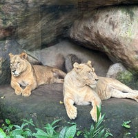 4/23/2024 tarihinde Mohammed S.ziyaretçi tarafından Taman Safari Indonesia III'de çekilen fotoğraf