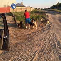 Photo taken at Приют бездомных животных в пос.Столбище by ❄Снежана❄ on 7/5/2014