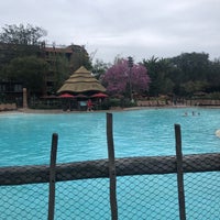 Photo taken at Animal Kingdom Lodge Flamingo Pool by Mark B. on 2/8/2022