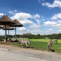 Photo taken at Open Safari by Ian K. on 7/3/2018