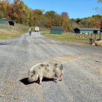 Foto tomada en Catskill Animal Sanctuary  por Scott B. el 10/19/2019