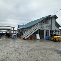 Taylor Shellfish Farms - 19 tips from 1025 visitors