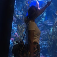 Photo taken at Sea View Aquarium by 🐞Suna on 2/14/2018
