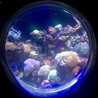 Photo taken at Sea View Aquarium by 🐞Suna on 2/14/2018