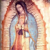 รูปภาพถ่ายที่ Paróquia Nossa Senhora de Guadalupe โดย Marcio S. เมื่อ 6/3/2013