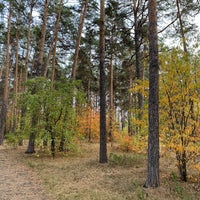 Photo taken at Челябинский городской бор by Aleksa B. on 9/25/2021