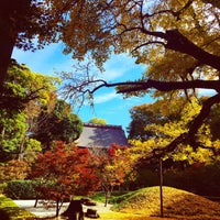 Photo taken at 九品仏浄真寺 by Takashi S. on 11/21/2015