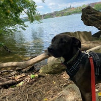 Photo taken at Theodore Roosevelt Island Memorial Plaza by Sarah J. on 5/15/2021