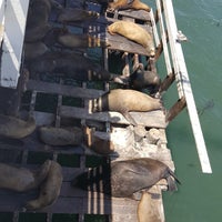 Photo taken at Santa Cruz Wharf by Tom V. on 5/23/2018