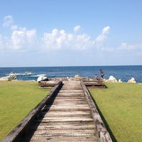 Cafe Mare マーレ 福井市 福井県 Cafe Mare マーレ 福井市 福井県