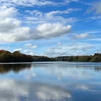 Photo taken at Virginia Water by Steve T. on 10/23/2022