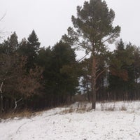 Photo taken at лес за ипподромом by Ilya K. on 11/22/2012