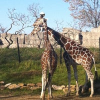 Photo taken at The Plains At The Zoo by Courtney L. on 11/10/2012