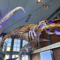 Foto tomada en New Bedford Whaling Museum  por Ian K. el 7/3/2022