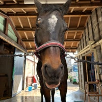 Photo taken at Gakushuin University Equestrian team by いんでぶ on 3/16/2024