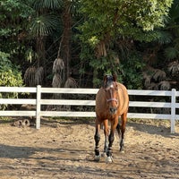 Photo taken at Gakushuin University Equestrian team by いんでぶ on 3/9/2023