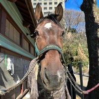 Photo taken at Gakushuin University Equestrian team by いんでぶ on 1/7/2023